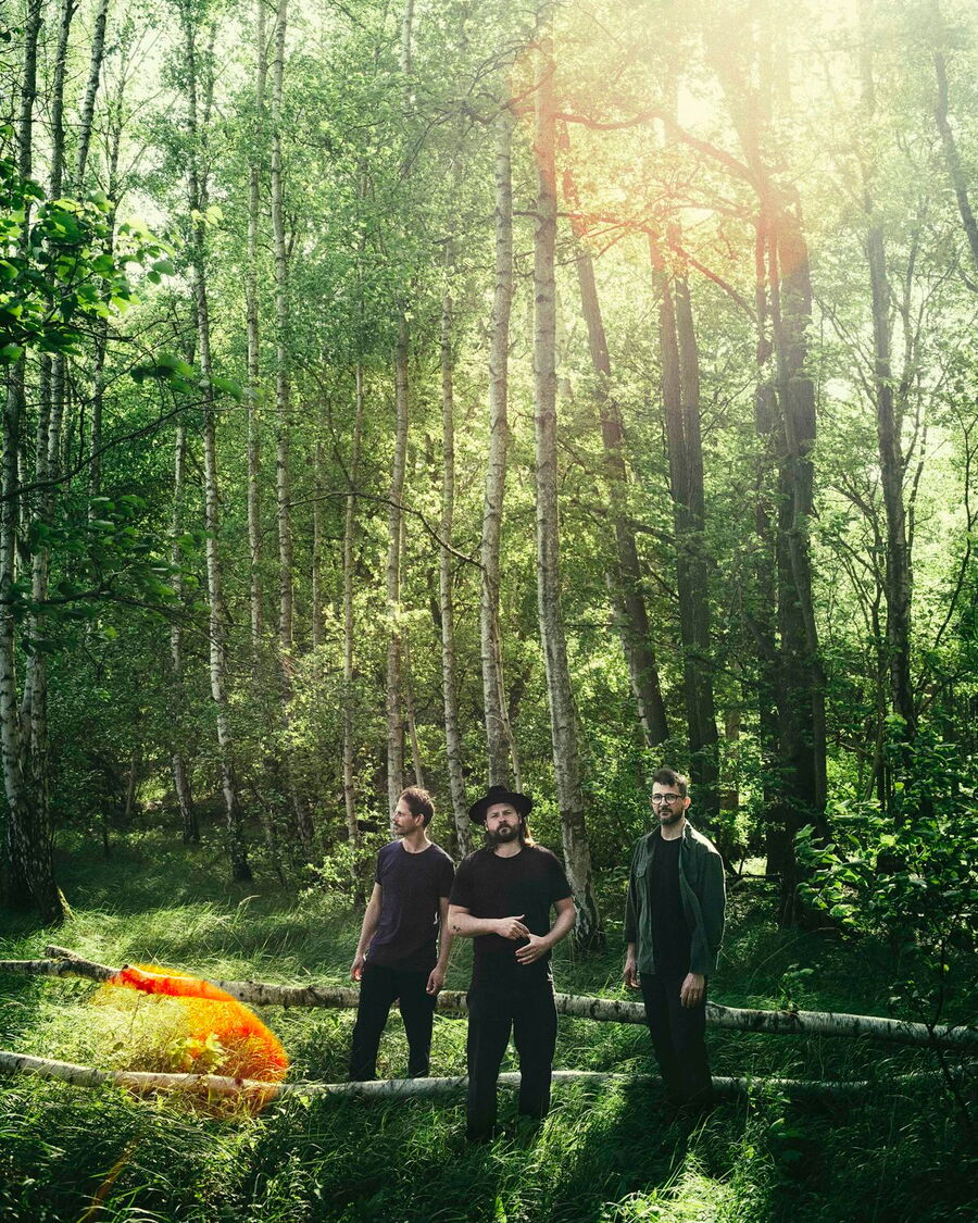 Die drei Musiker von Mighty Oaks stehen in einem sonnendurchfluteten Wald mit hohen Birkenbäumen. Sie sind schlicht in dunkler Kleidung gekleidet, der mittlere Mann trägt einen schwarzen Hut. Hinter ihnen liegen zwei umgestürzte Birkenstämme.